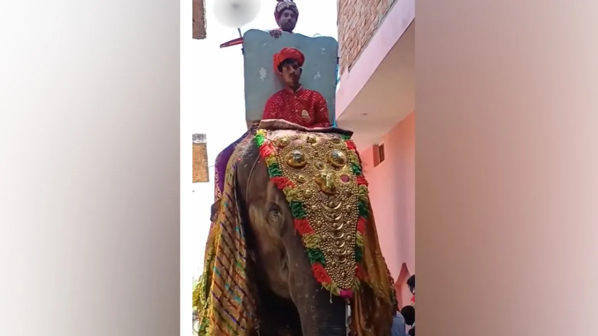 groom- India TV Hindi
