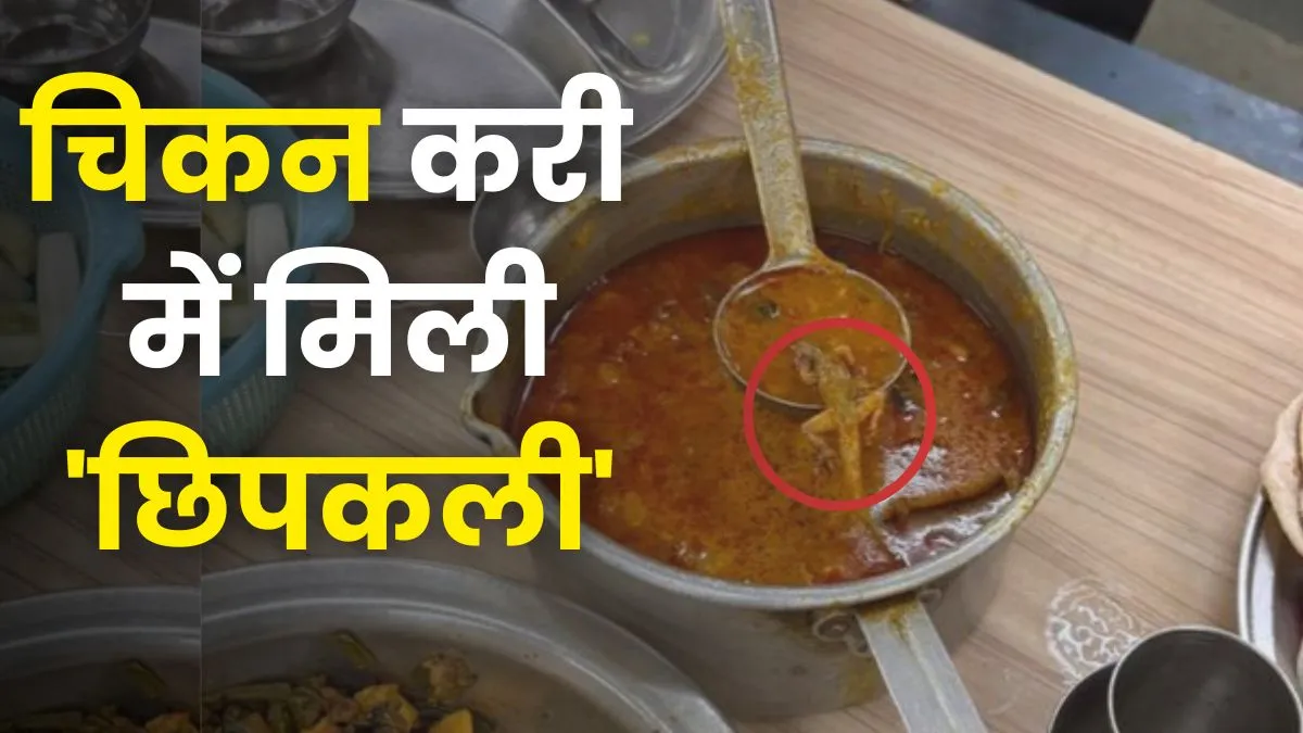 lizard found in chicken curry, BHU Mess Food Controversy, Lizard in chicken curry, viral photo, bhu - India TV Hindi
