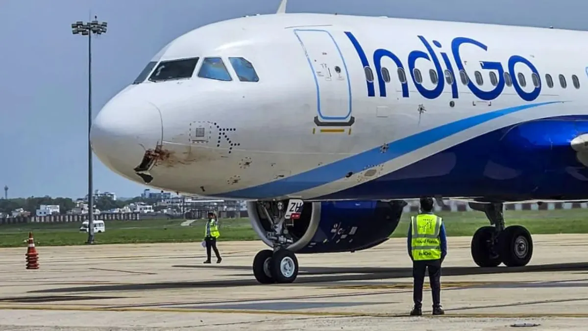 IndiGo flight delayed monkeys runway, Lucknow airport incident- India TV Hindi
