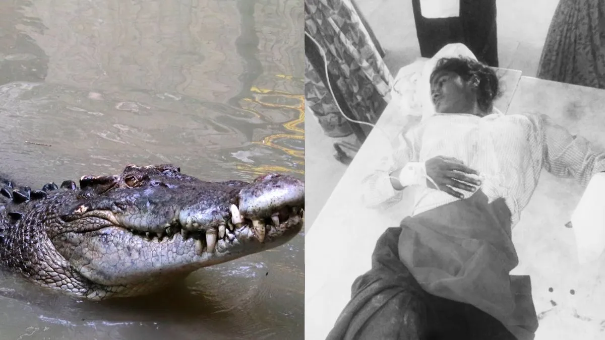 Aligarh crocodile attack- India TV Hindi