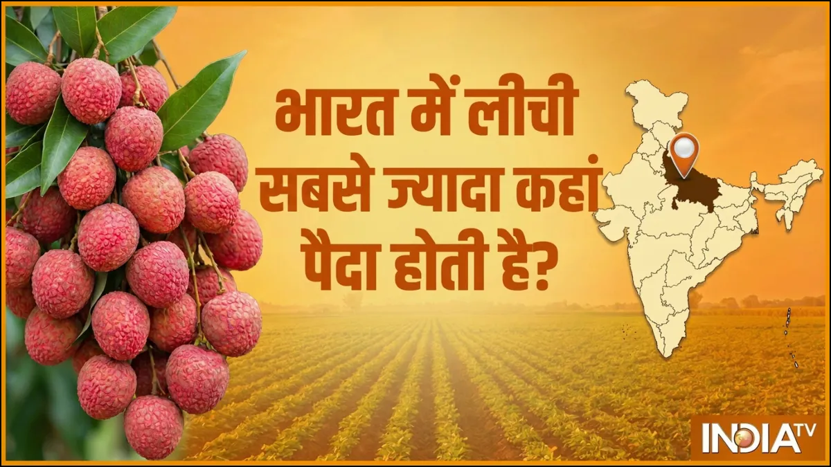 सबसे ज्यादा लीची कहां पैदा होती है?- India TV Hindi