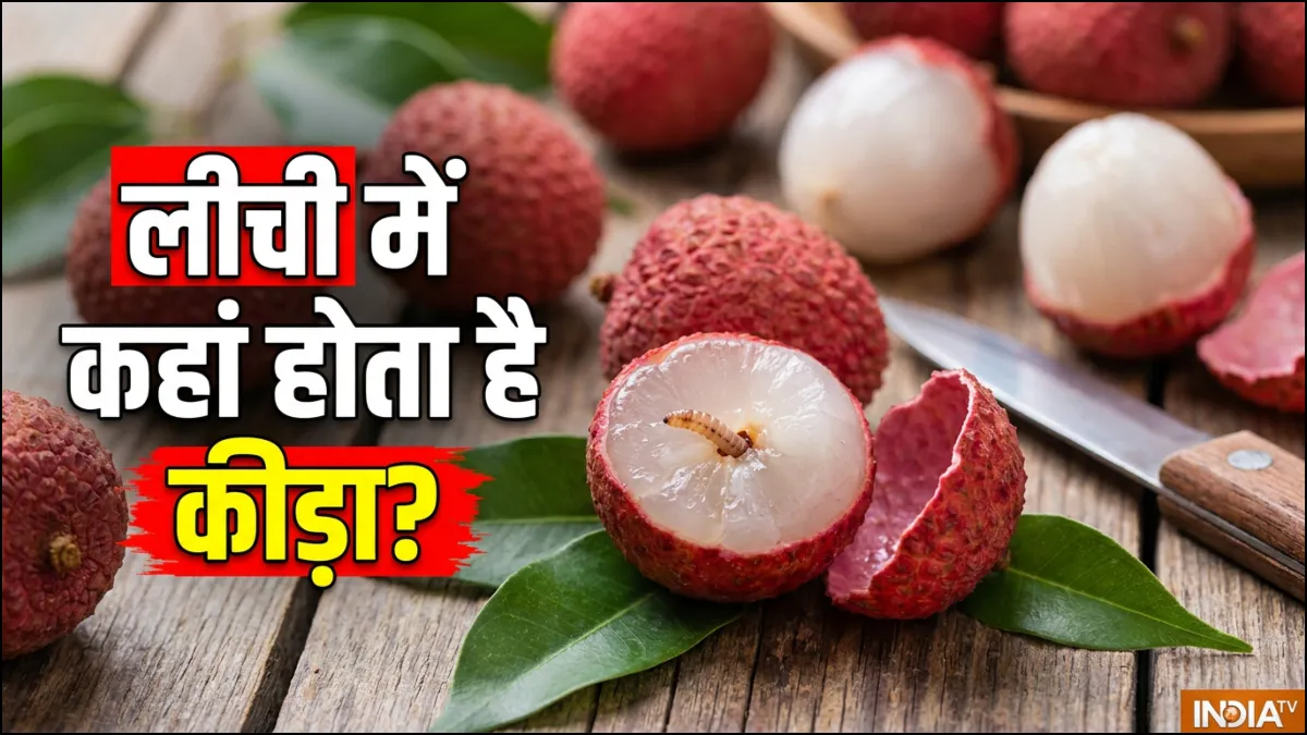 लीची में कीड़ा- India TV Hindi