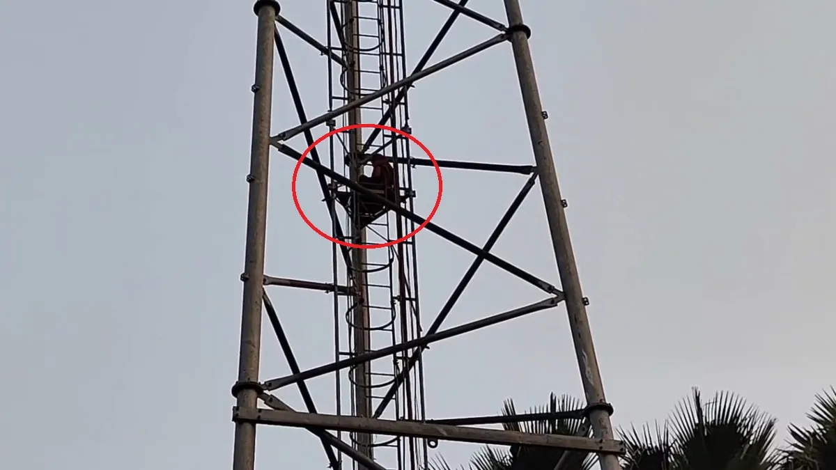 Girl climb mobile tower- India TV Hindi