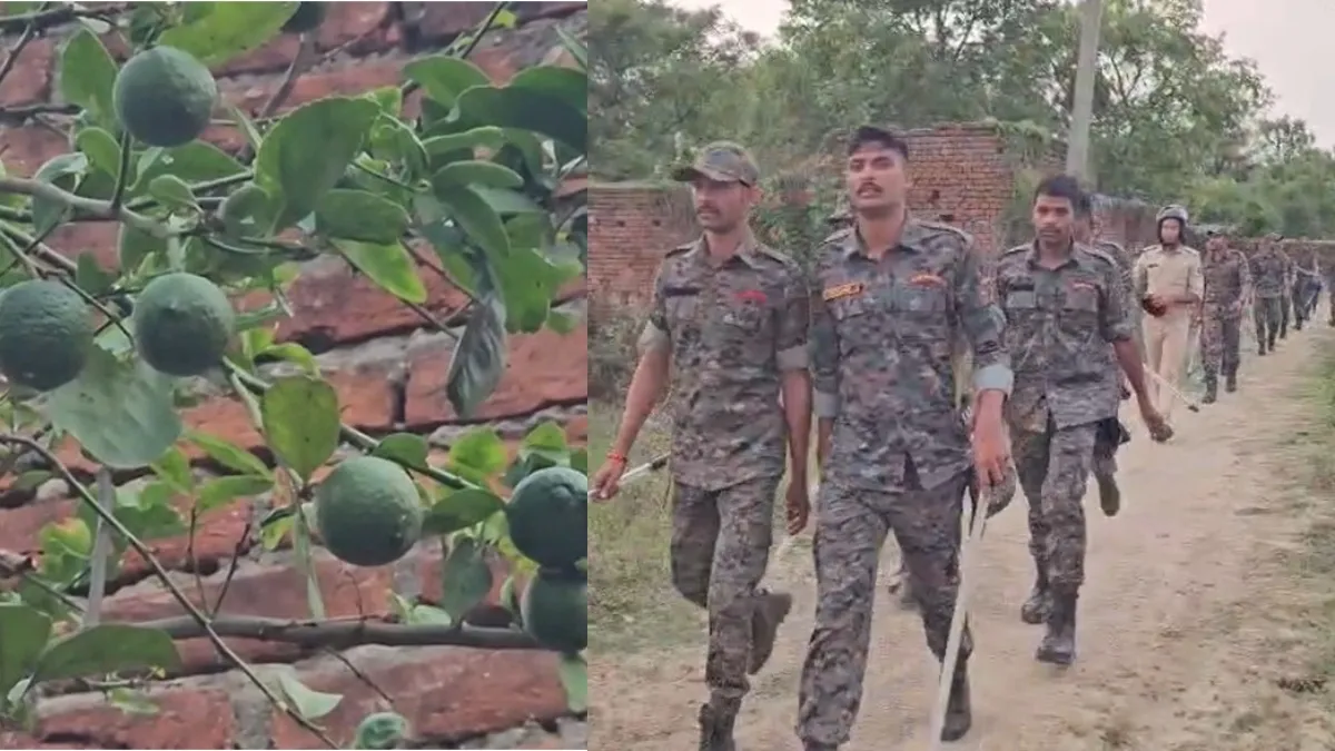 nalanda minor murdered for lemon- India TV Hindi