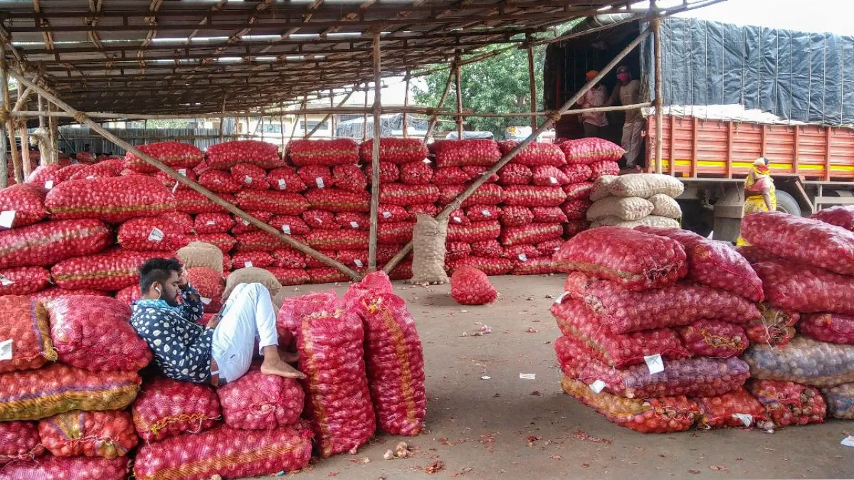 onion, onion price, onion farmers, farmers, onion msp, shivraj singh chouhan- India TV Hindi