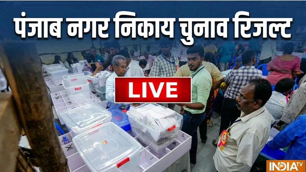 Punjab Municipal Corporations Election Results- India TV Hindi