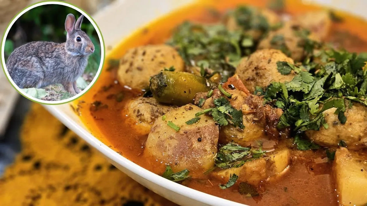 What is Rabbit Meat Dish Name, Rabbit Meat, Rabbit Curry Video, How to Make Rabbit Curry, Rabbit Mea- India TV Hindi