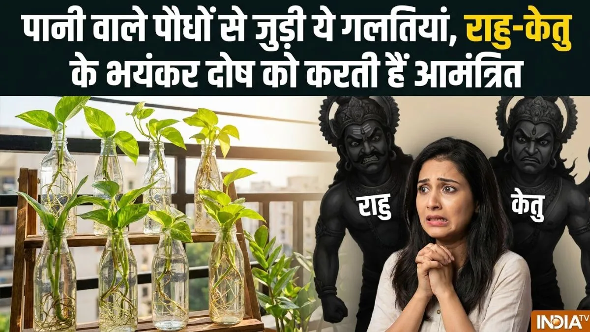 Water Plants Vastu- India TV Hindi