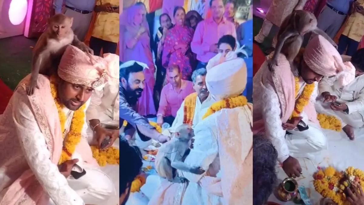 Farrukhabad- India TV Hindi
