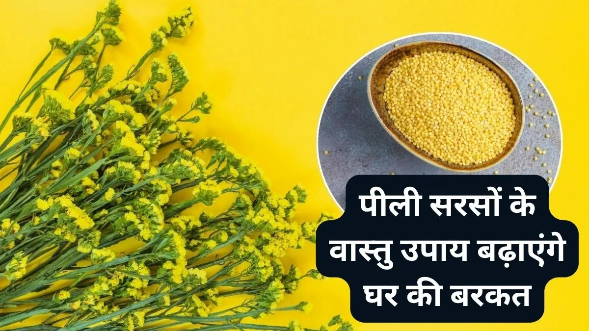 vastu Remedies- India TV Hindi
