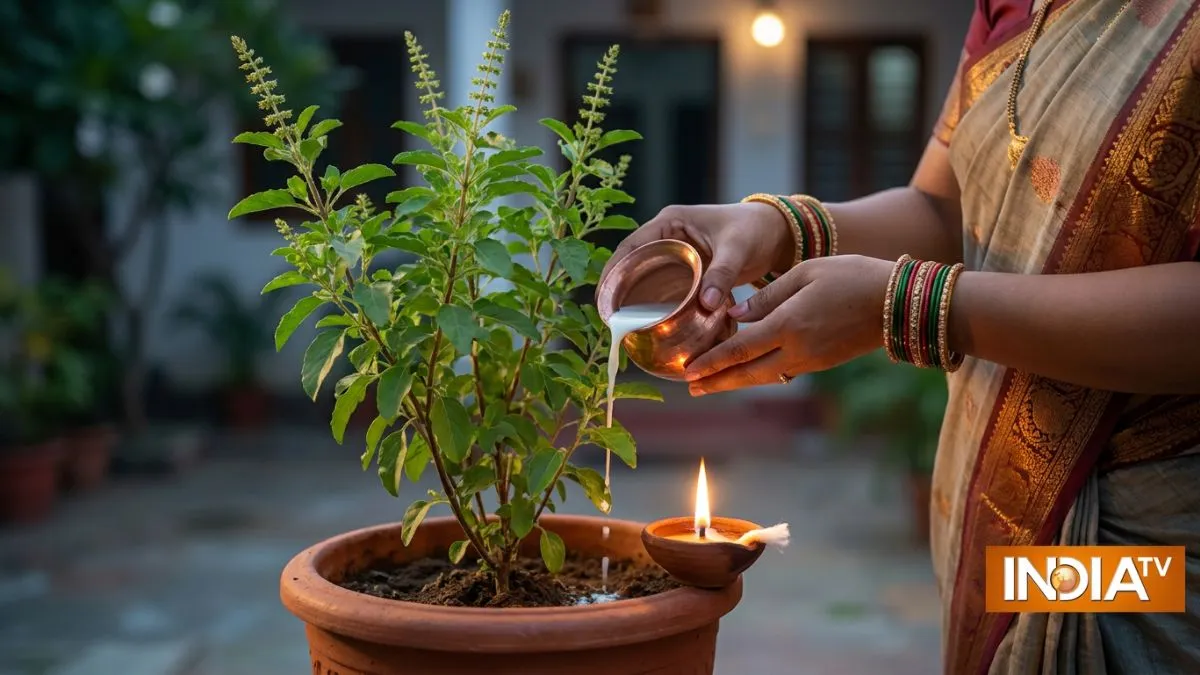 tulsi pujan- India TV Hindi