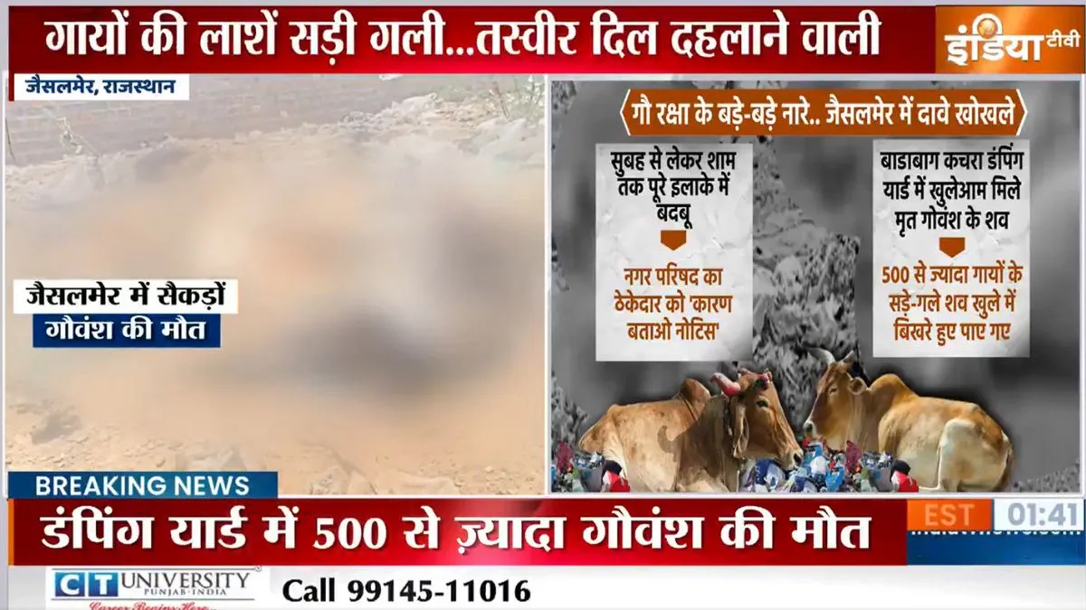 डंपिंग यार्ड में मिले मृत गौवंश।- India TV Hindi