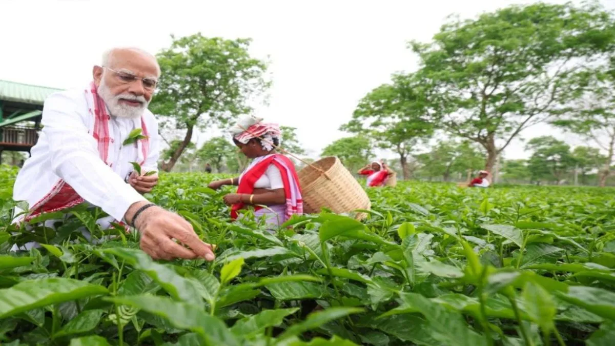pm modi, tea garden, assam- India TV Hindi