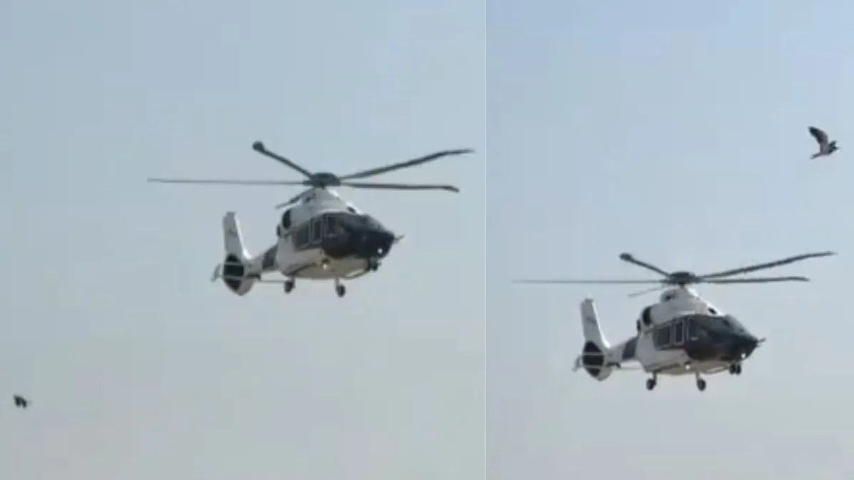 helicopter, bird hit, Samrat choudhary- India TV Hindi