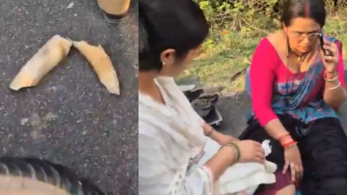 scooty rider women collided with elephant, aaj ka viral video, elephant teeth accident video, viral - India TV Hindi