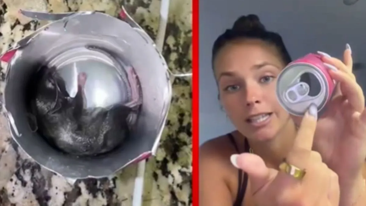 Energy Drink Video, Dead Rat in Energy Drink, Aaj Ka Viral Video, Viral Video, Viral News, News in H- India TV Hindi