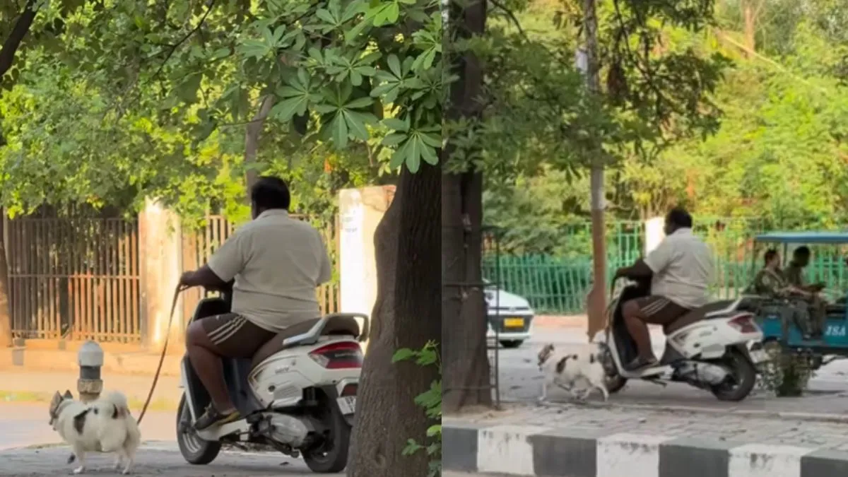 Funny Lucknow Video, Peak Lucknow Moment Video, Aaj Ka Viral Video, Funny Morning Walk Video, Mornin- India TV Hindi