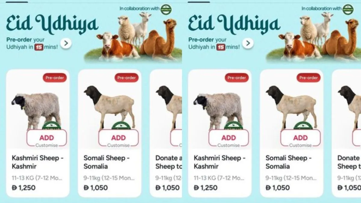 Dubai sheep delivery app, Noon 15 minute sheep delivery, Careem Eid Al Adha Qurbani, Dubai livestock- India TV Hindi