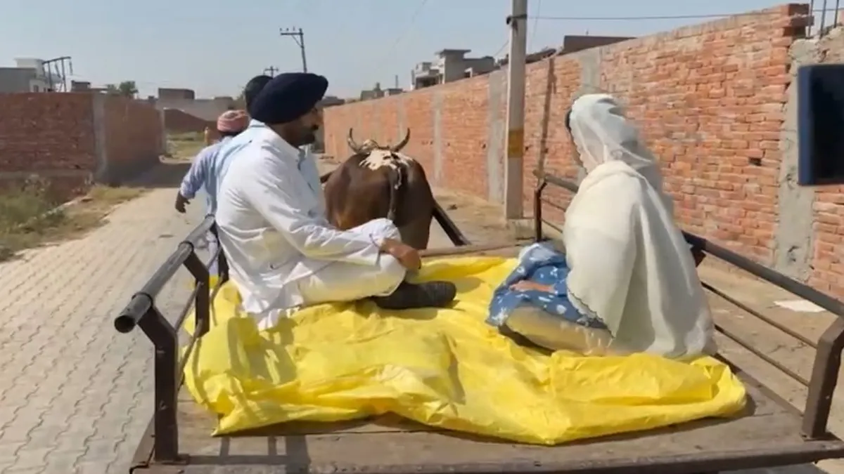 पत्नी के साथ बैलगाड़ी पर बैठकर वोट डालने पहुंचे पंजाब कांग्रेस अध्यक्ष अमरिंदर सिंह राजा वड़िंग- India TV Hindi