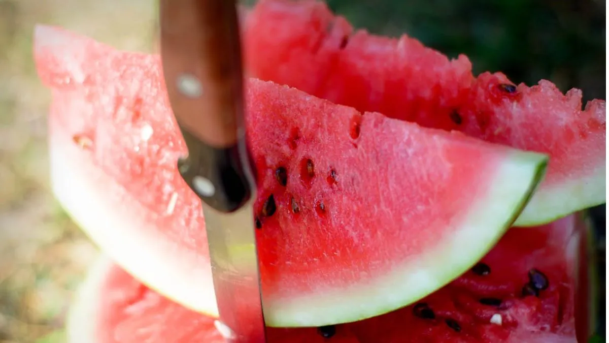 watermelon- India TV Hindi