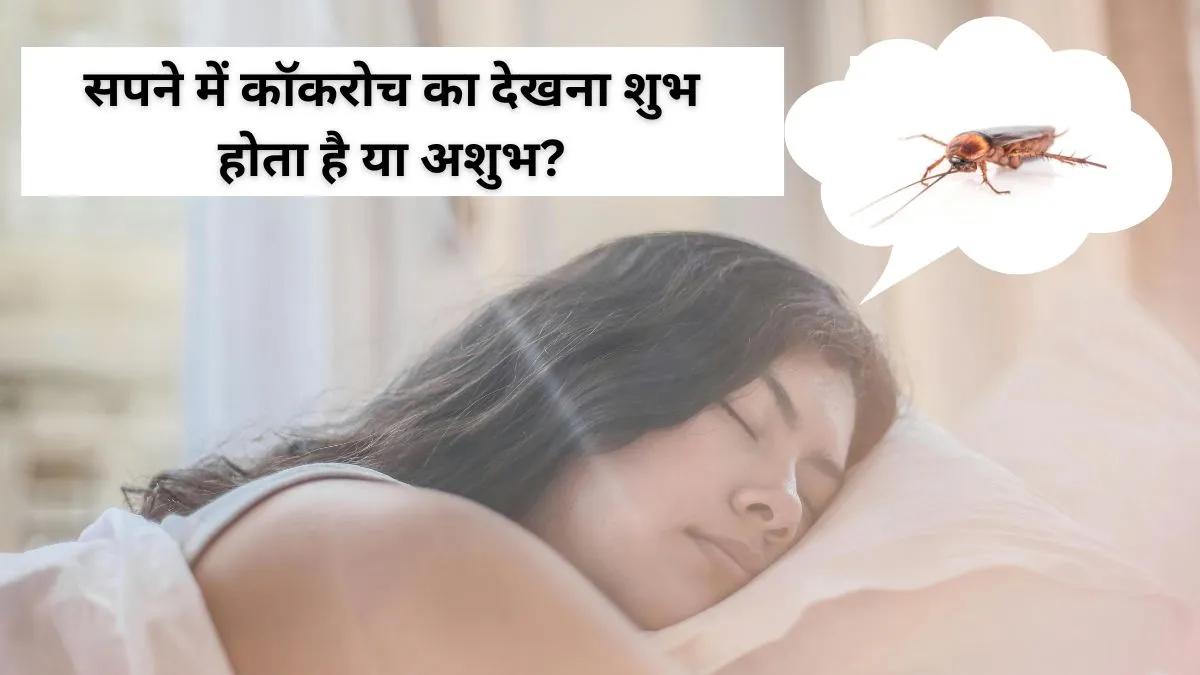 सपने में कॉकरोच देखने का क्या मतलब होता है- India TV Hindi