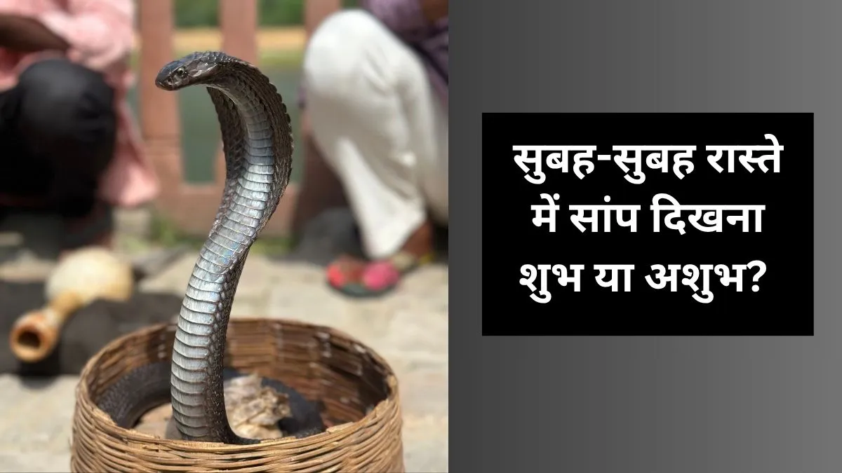 सांप का नजर आना किस बात का संकेत होता है- India TV Hindi