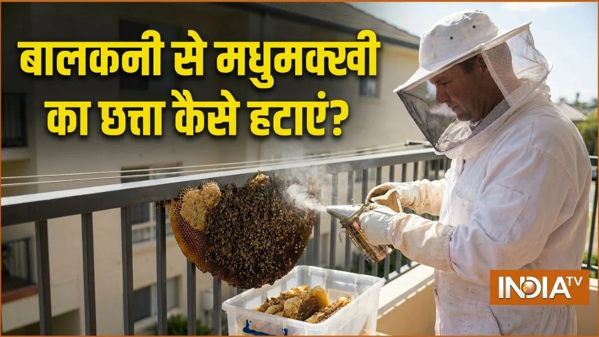 बालकनी से मधुमक्खी का छत्ता कैसे हटाएं?- India TV Hindi