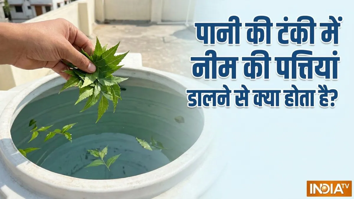 पानी की टंकी में नीम की पत्तियां डालने से क्या होता है? - India TV Hindi