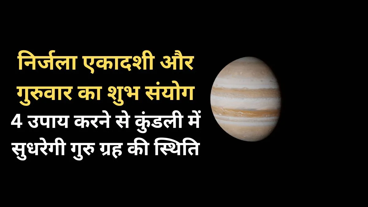 निर्जला एकादशी उपाय - India TV Hindi