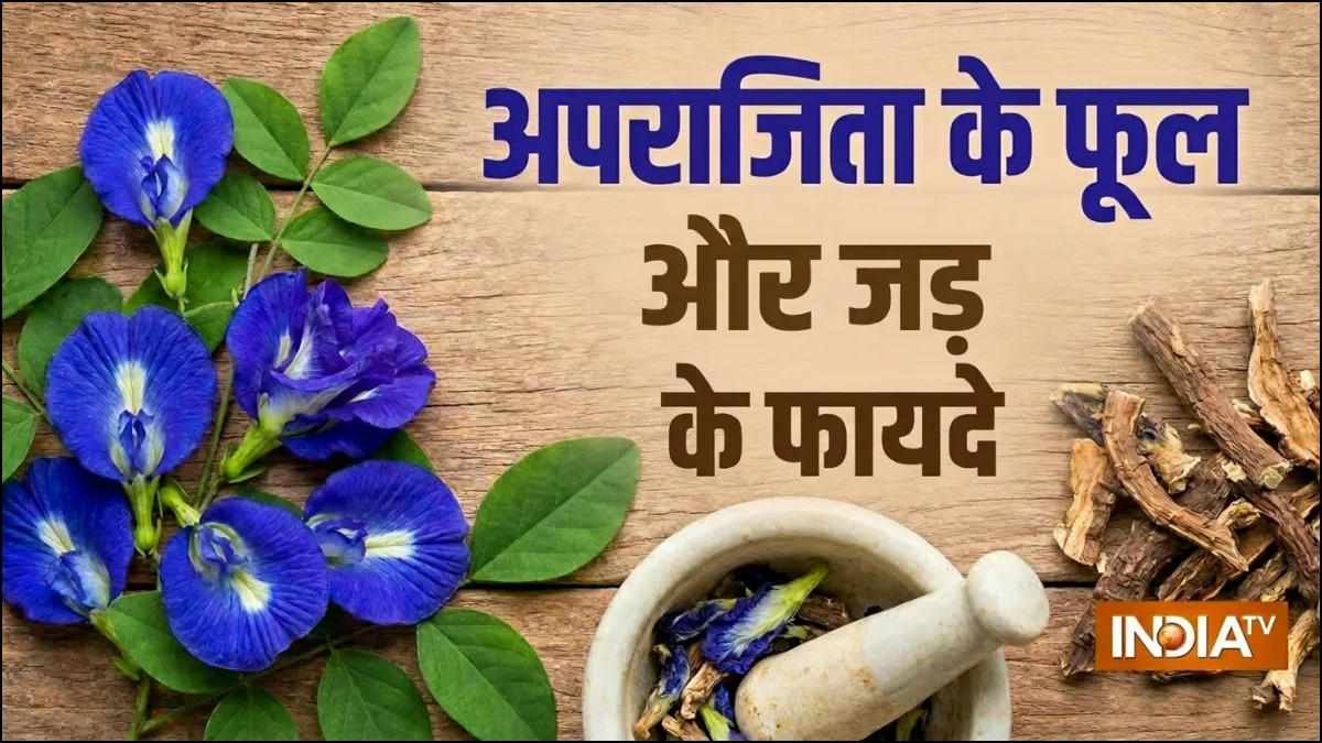 अपराजिता के फायदे- India TV Hindi