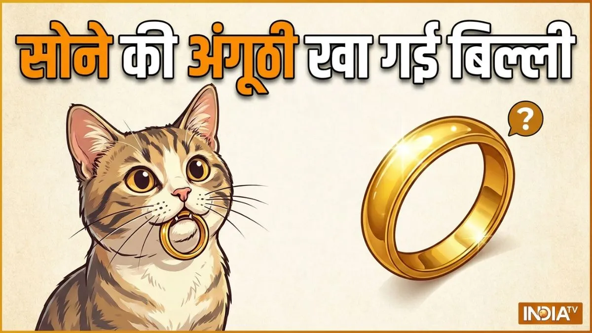 cat- India TV Hindi