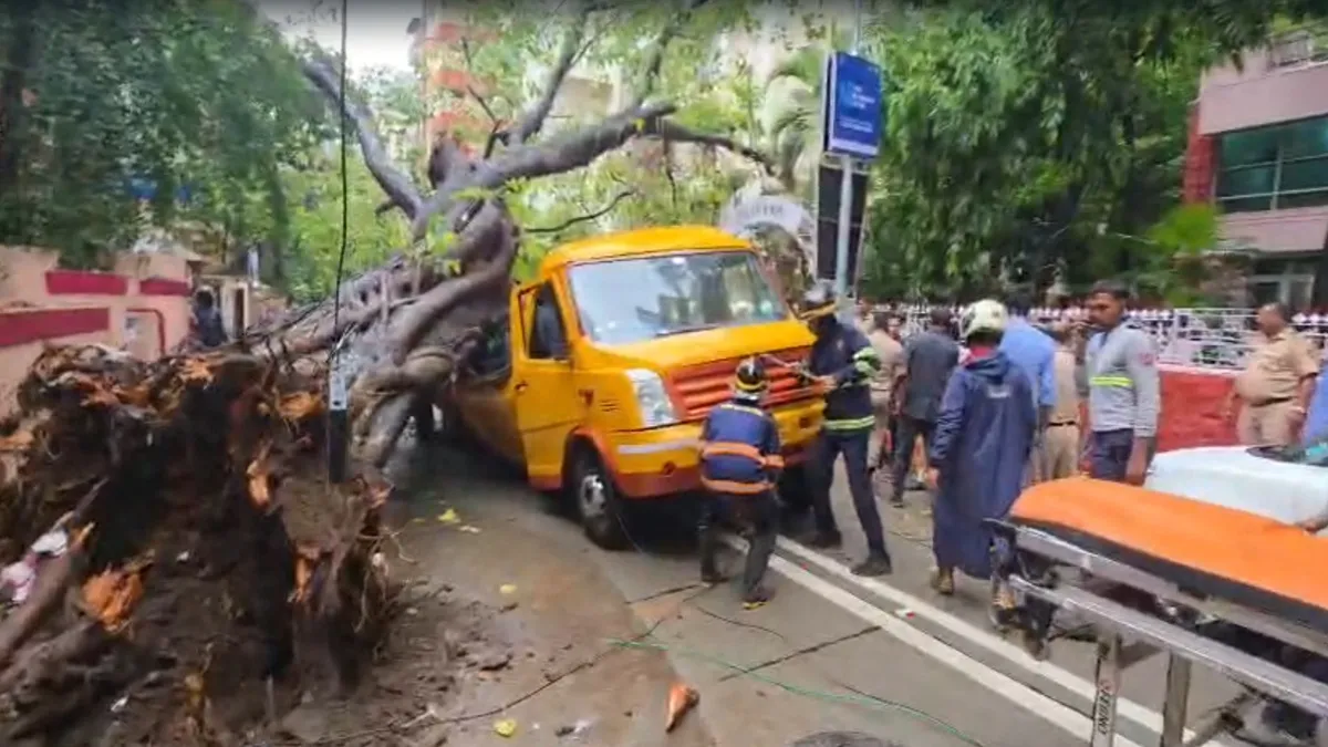 tree falls on school van- India TV Hindi
