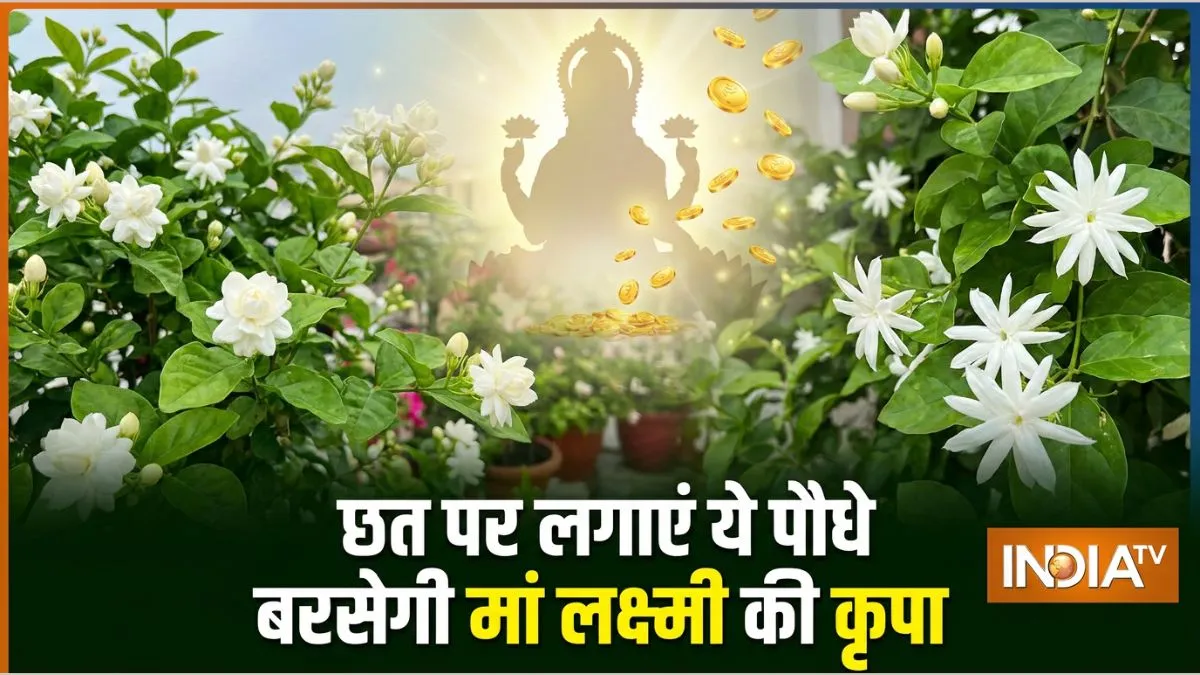 ghar ki chhat- India TV Hindi