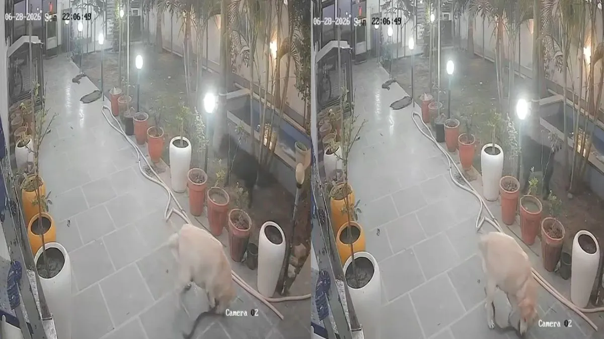 dog- India TV Hindi