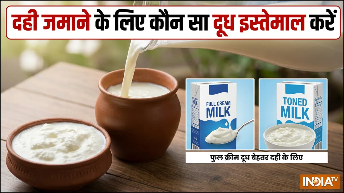 दही जमाने के लिए सबसे अच्छा दूध कौन सा है- India TV Hindi