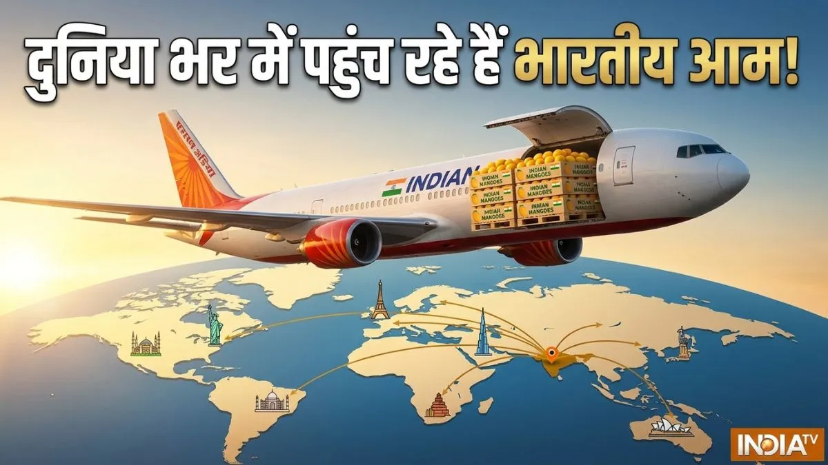 Air India Mango Express, Indian Mango Export 2026, Alphonso Mango Export- India TV Hindi