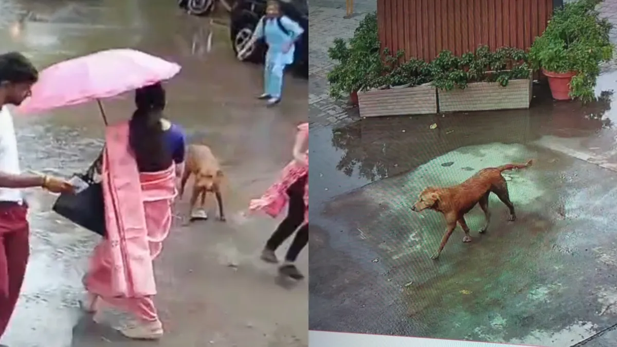 Dog bite- India TV Hindi
