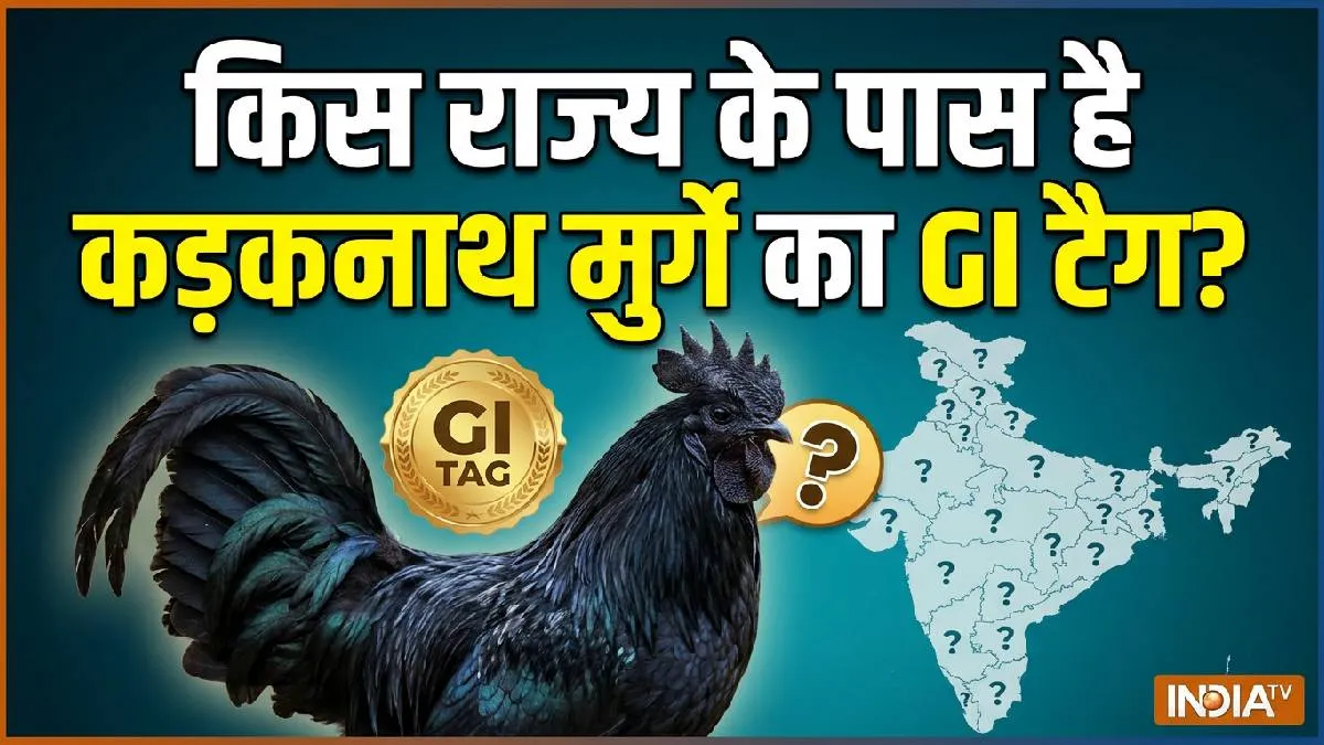 kadaknath murg- India TV Hindi