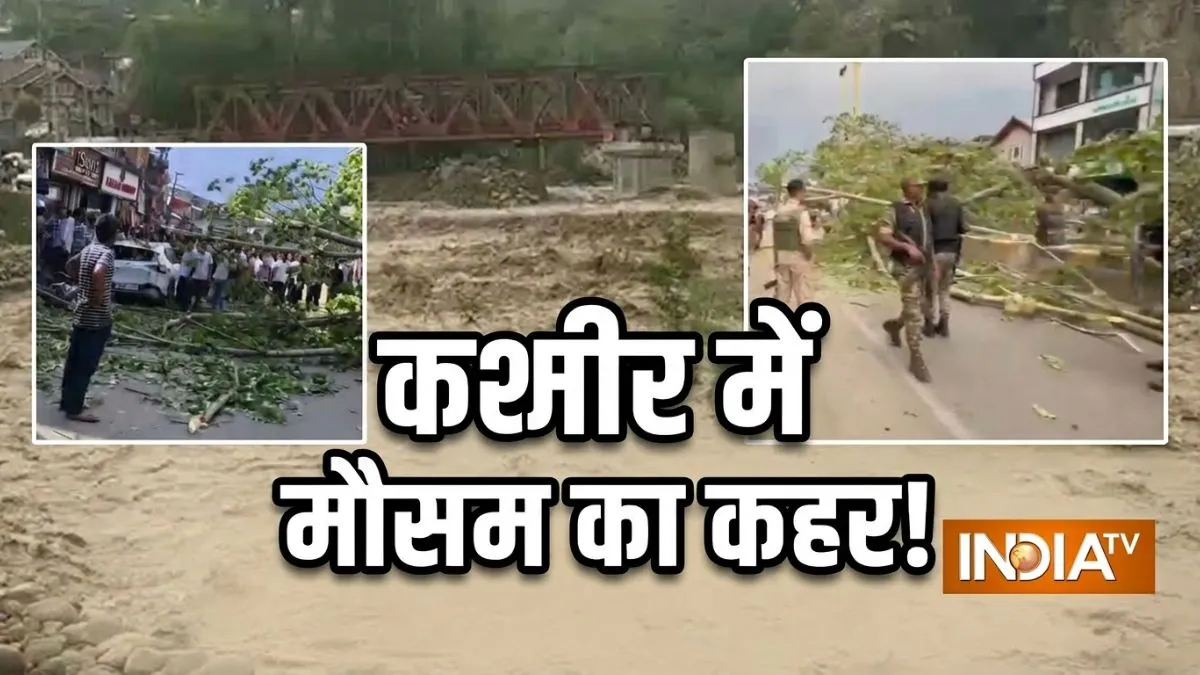 Kashmir storm news, Dal Lake SDRF rescue, Anantnag tree fall death, Jammu Kashmir weather update- India TV Hindi