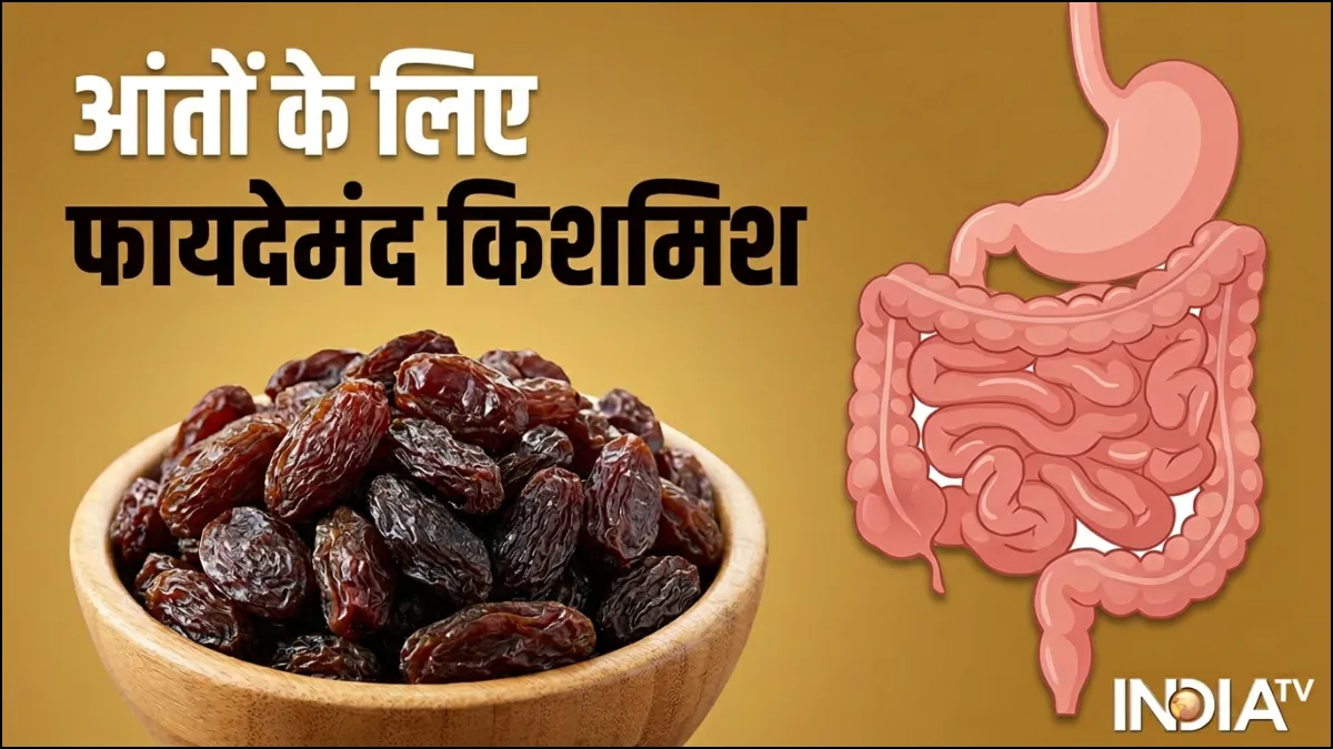 आंतों के लिए फायदेमंद किशमिश- India TV Hindi
