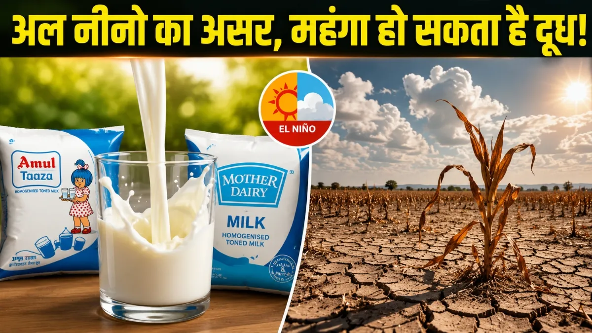 जुलाई-अगस्त में दूध के...- India TV Hindi