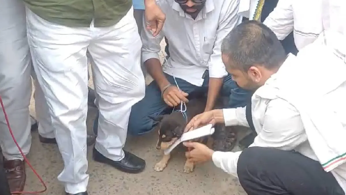कुत्ते को ज्ञापन सौंपते कांग्रेसी कार्यकर्ता- India TV Hindi