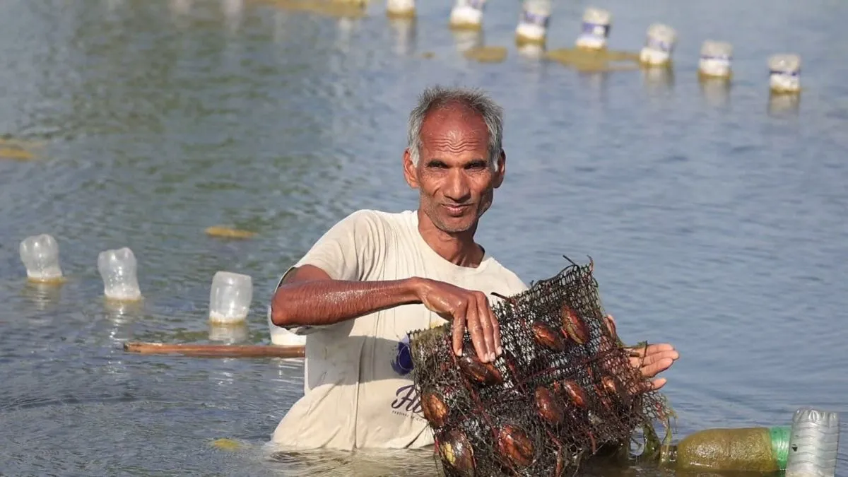 Pearl farming, Oyster cultivation, Sustainable farming, Modern agriculture, Aquaculture innovation, - India TV Hindi