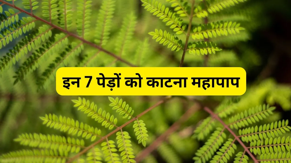 7 Pedon Ko Katna Mahapap- India TV Hindi