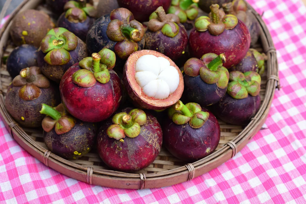 Mangosteen fruit- India TV Hindi
