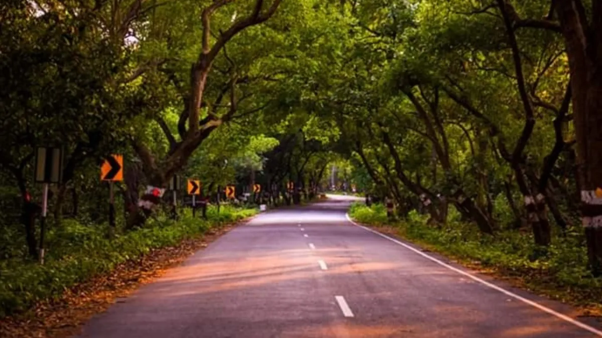 pilibhit tiger reserve- India TV Hindi