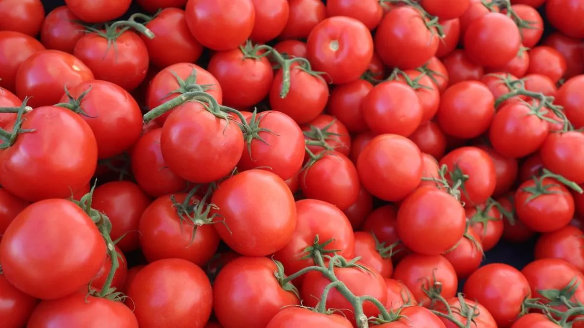 Vegetable Facts, Does Tomato is Vegetable or Fruit, tomato interesting facts, tomato amazing facts, - India TV Hindi
