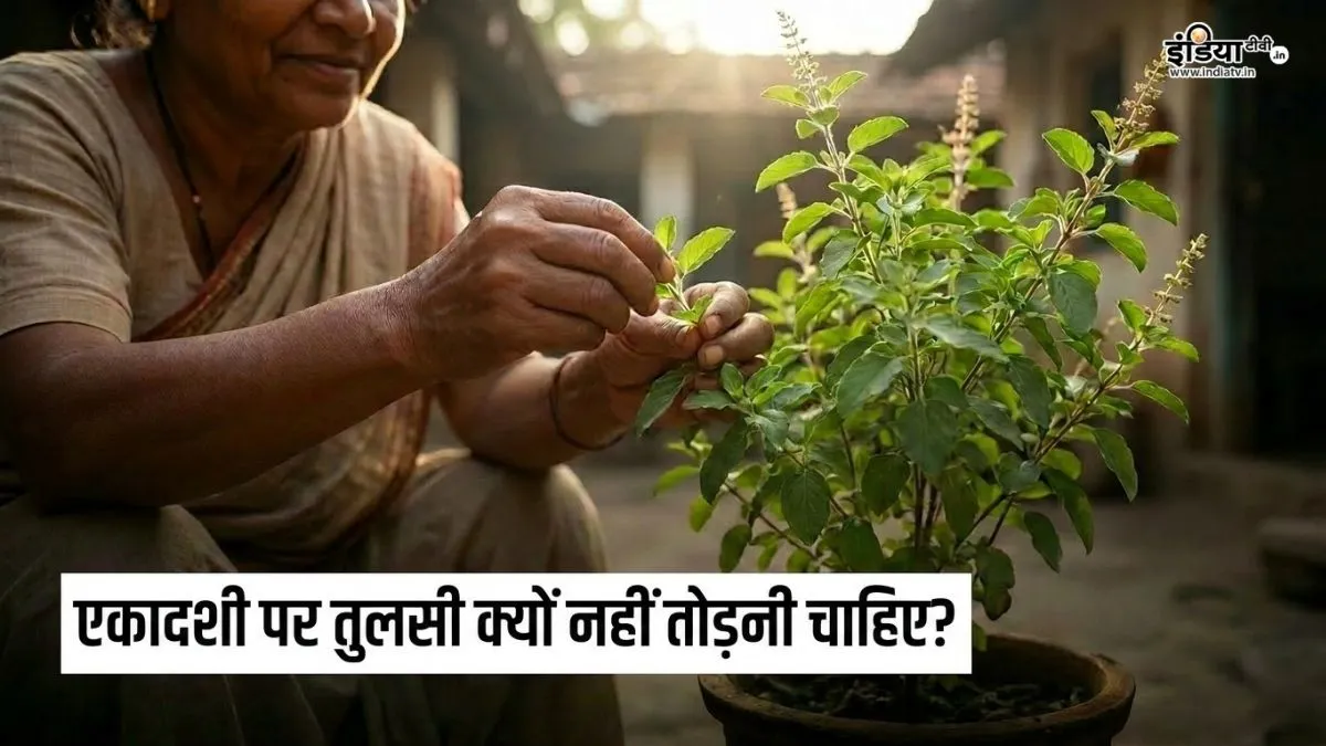 Tulsi Puja Niyam- India TV Hindi