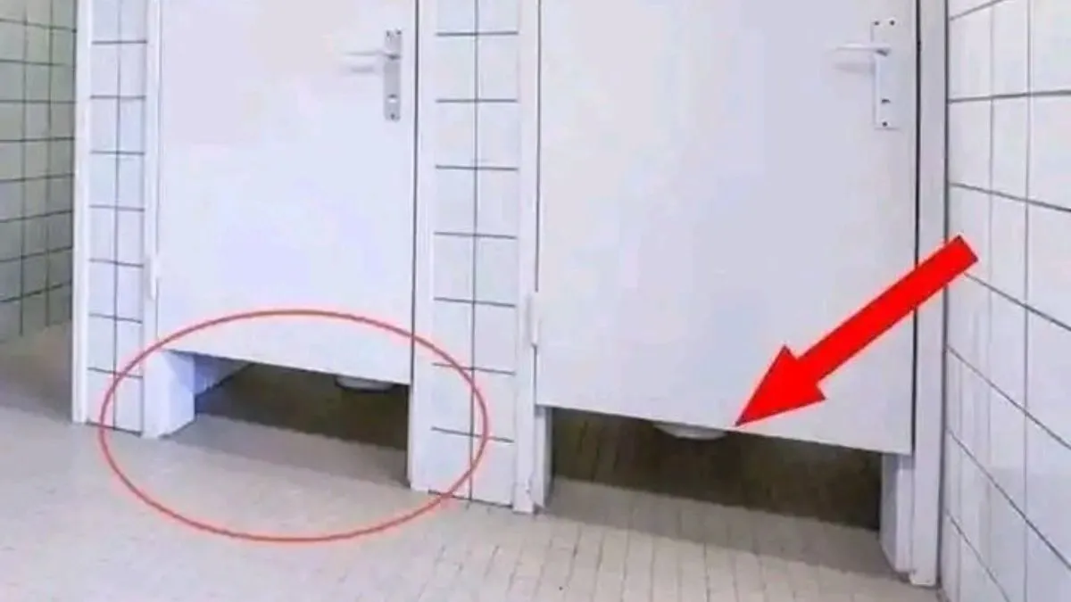 पब्लिक टॉयलेट के दरवाजों में ये गैप क्यों होता है?- India TV Hindi
