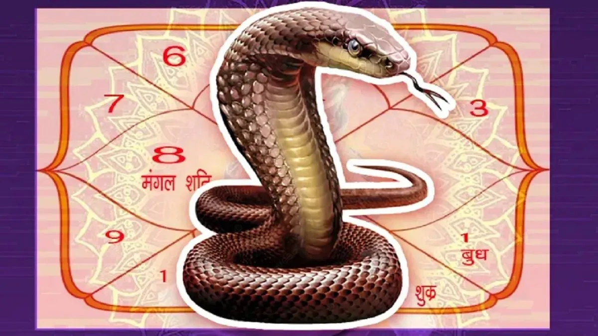 कालसर्प दोष- India TV Hindi